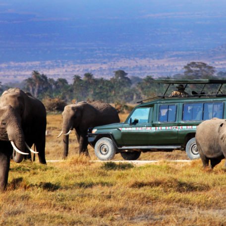 Safari Auto Elefanti