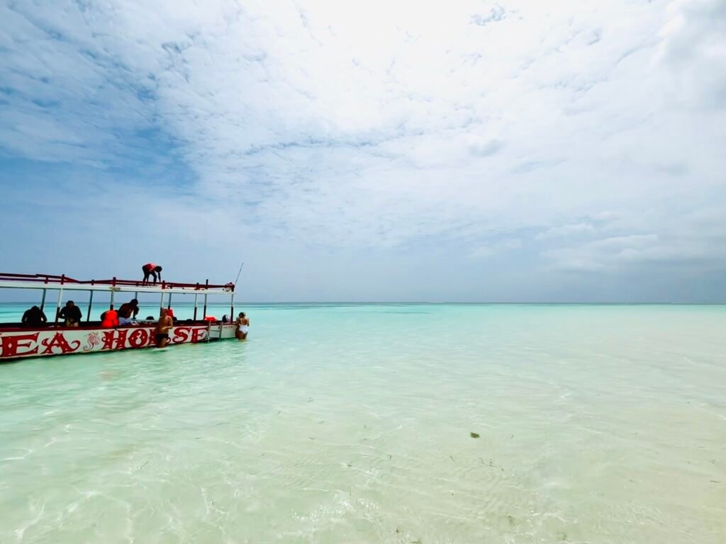 Safari Blu a Sardegna 2